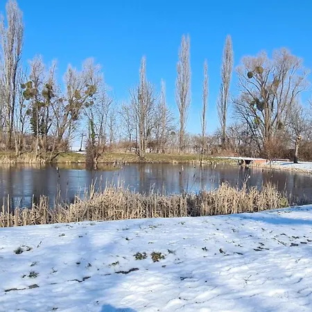 Perle Am Teich- Mit Klimaanlage- Direkt Am Selketal- Ideal Fuer Naturliebhaber Und Fahrradfahrer- Perfekt Fuer Eine Auszeit Vom Alltag Apartment