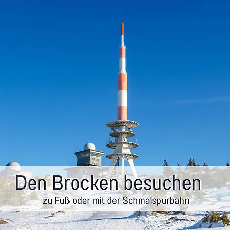 Apartment - Vakantiewoning- Perle Am Teich- Mit Klimaanlage- Direkt Am Selketal- Ideal Fuer Fahrradfahrer Und Wanderer- Perfekt Fuer Eine Auszeit Vom Alltag