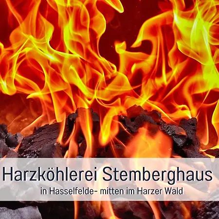 Apartment Perle Am Teich- Mit Klimaanlage- Direkt Am Selketal- Ideal Fuer Naturliebhaber Und Fahrradfahrer- Perfekt Fuer Eine Auszeit Vom Alltag *
