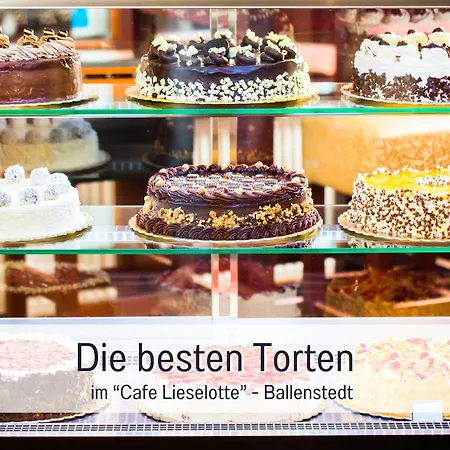 Perle Am Teich Ist Ihre Exklusive Mit Klimaanlage Und Grosser Terrasse Im Harz Ballenstedt