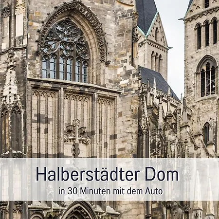 - Vakantiewoning- Perle Am Teich- Mit Klimaanlage- Direkt Am Selketal- Ideal Fuer Fahrradfahrer Und Wanderer- Perfekt Fuer Eine Auszeit Vom Alltag Apartment