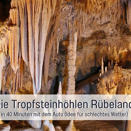 Apartman Perle Am Teich Ist Ihre Exklusive Mit Klimaanlage Und Grosser Terrasse Im Harz *
