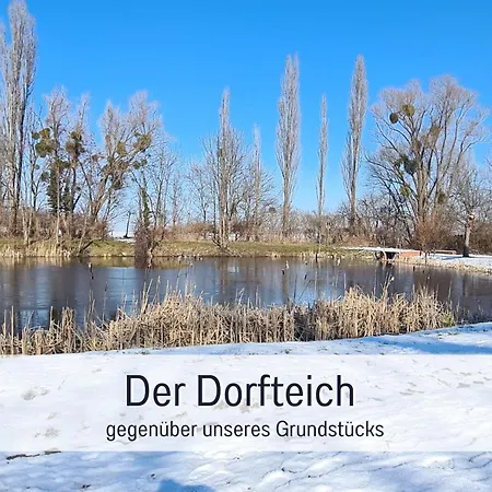 Perle Am Teich- Mit Klimaanlage- Direkt Am Selketal- Ideal Fuer Naturliebhaber Und Fahrradfahrer- Perfekt Fuer Eine Auszeit Vom Alltag * Ballenstedt