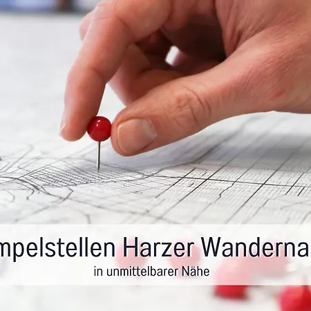 Perle Am Teich Ist Ihre Exklusive Mit Klimaanlage Und Grosser Terrasse Im Harz Apartman Ballenstedt