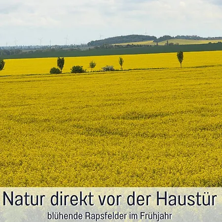 Apartman Perle Am Teich Ist Ihre Exklusive Mit Klimaanlage Und Grosser Terrasse Im Harz *