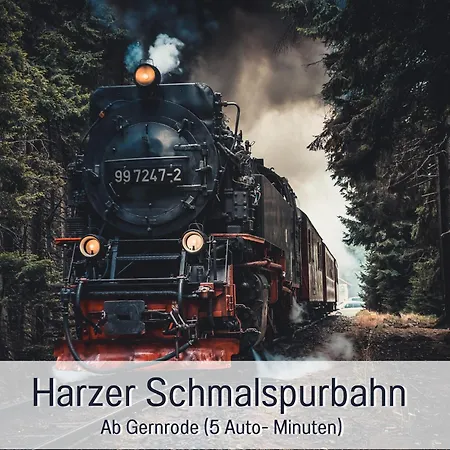 Perle Am Teich I Stilvoll Wohnen & Entspannen Im Harz Appartement Ballenstedt