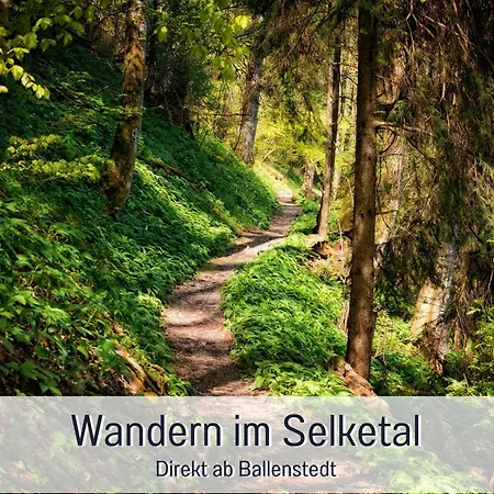 Perle Am Teich I Stilvoll Wohnen & Entspannen Im Harz * Ballenstedt
