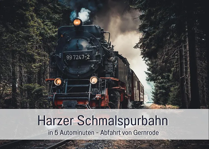 Lägenhet - Vakantiewoning- Perle Am Teich- Mit Klimaanlage- Direkt Am Selketal- Ideal Fuer Fahrradfahrer Und Wanderer- Perfekt Fuer Eine Auszeit Vom Alltag *