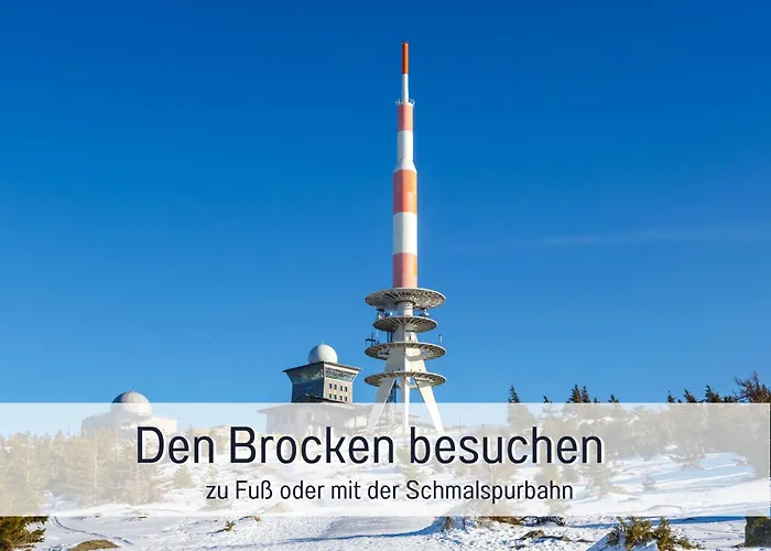 Lägenhet - Vakantiewoning- Perle Am Teich- Mit Klimaanlage- Direkt Am Selketal- Ideal Fuer Fahrradfahrer Und Wanderer- Perfekt Fuer Eine Auszeit Vom Alltag
