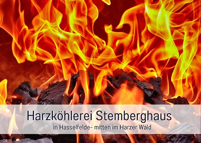 Διαμέρισμα - Vakantiewoning- Perle Am Teich- Mit Klimaanlage- Direkt Am Selketal- Ideal Fuer Fahrradfahrer Und Wanderer- Perfekt Fuer Eine Auszeit Vom Alltag *