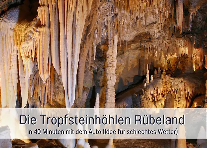 Lägenhet - Vakantiewoning- Perle Am Teich- Mit Klimaanlage- Direkt Am Selketal- Ideal Fuer Fahrradfahrer Und Wanderer- Perfekt Fuer Eine Auszeit Vom Alltag *